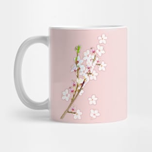 Sakura First cherry blossoms of spring delicate white and pink flowers  foliage Mug